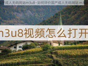 国产成人无码网站m3u8—如何评价国产成人无码网站 m3u8？