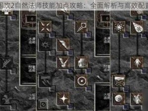 地牢围攻2自然法师技能加点攻略：全面解析与高效配置之道