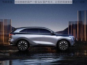 性能卓越、空间宽敞的国产一级 SUV 国产毛卡，让您的驾驶体验更上一层楼