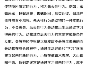 中阴系统联机指南：详解配置需求与兼容性细节