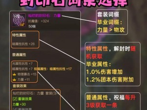 DNF光枪玩家必看：实战解析光枪新护石选择策略，掌握护石搭配攻略助力100级成长之路