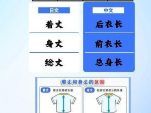 欧洲尺码日本尺码专线不卡顿，快速转运包裹到全球各地