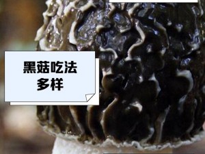 17c独家爆料黑料蘑菇(17c 独家爆料：黑料蘑菇大揭秘)