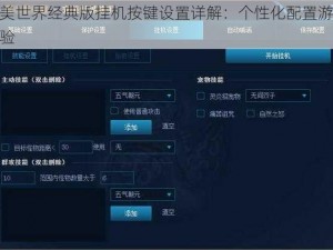 完美世界经典版挂机按键设置详解：个性化配置游戏体验