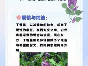 丁香五月com,丁香五月 com：探索五月的芬芳与美好