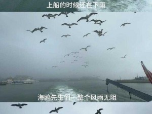 行动黑山游戏特色玩法深度解析与评测一览：沉浸式体验战斗与策略的乐趣