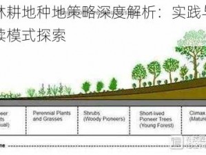 森林耕地种地策略深度解析：实践与可持续模式探索