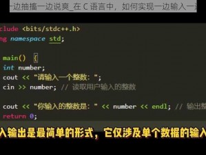 一边C一边抽搐一边说爽_在 C 语言中，如何实现一边输入一边输出？