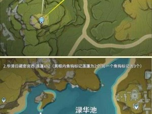 原神探秘之旅：莲蓬的秘密与采集地点揭秘