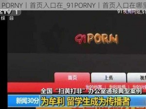 91PORNY丨首页入口在_91PORNY丨首页入口在哪里？