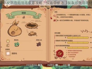 林中小女巫泡泡羽毛获取攻略：探索最佳途径获取珍贵羽毛材料