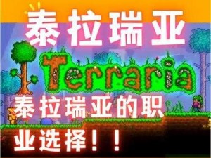 泰拉瑞亚游戏职业转职条件详解：2021年最新版一览表