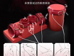 高H电动玩具调教play师生,高 H 电动玩具调教 play：师生之间的禁忌游戏