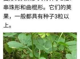 藤蔓爬进肠道无法合拢、藤蔓爬进肠道，无法合拢，这是怎么回事？