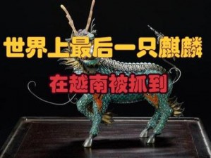 关于迷你世界麒麟蛋孵化与麒麟生宝宝的全面指南