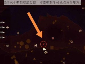 禁闭求生蓟刺获取攻略：探索蓟刺生长地点与采集方法