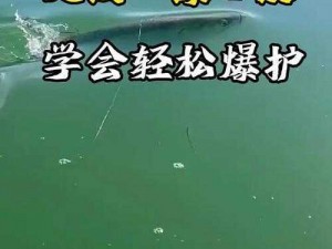 九浅一深还是九深一浅哪个好、九浅一深和九深一浅哪个更好？