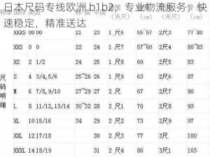 日本尺码专线欧洲 b1b2，专业物流服务，快速稳定，精准送达