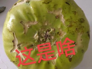 东北那旮瘩母与子背景下的特色农产品