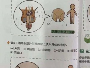 小孩子禁止看的东西永久免费，包含精彩内容，快来体验