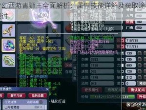 梦幻西游青狮王全面解析：属性技能详解及获取途径探讨