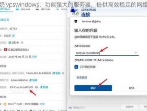 老奶奶 vpswindows，功能强大的服务器，提供高效稳定的网络服务