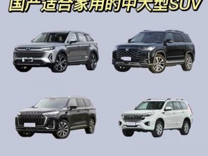 国产 SUV 精品一区二妻，高品质家庭出行首选