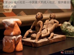 天涯 pro 成人社区——中国最大的成人社区，提供最全面的成人内容