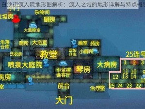 《白沙街疯人院地形图解析：疯人之域的地形详解与特点概览》