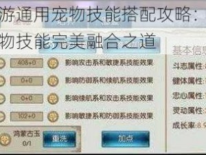 诛仙手游通用宠物技能搭配攻略：攻击技能与宠物技能完美融合之道