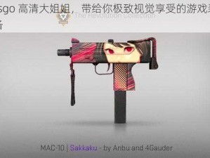 csgo 高清大姐姐，带给你极致视觉享受的游戏装备