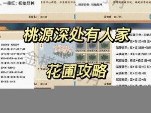 桃源深处有人家：布局规划与心得分享——打造理想家园的蓝图解析