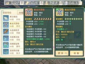 神雕侠侣2手游：白陀宝石策略之武器选龙血石探秘