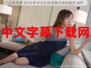 一款支持 2019 年中文乱码字幕无线观看的 APP