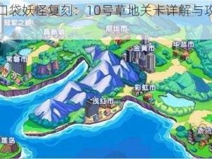 关于口袋妖怪复刻：10号草地关卡详解与攻略指南