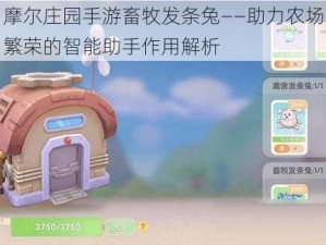 摩尔庄园手游畜牧发条兔——助力农场繁荣的智能助手作用解析