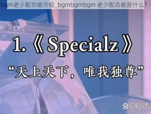 bgmbgmbgm老少配功能介绍_bgmbgmbgm 老少配功能是什么？有什么用？