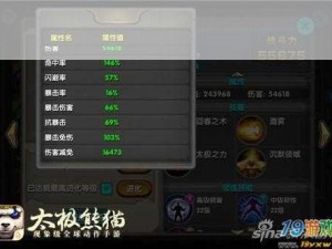 太极熊猫与武神之间：深度解析品质与性价比，武神排行TOP5大盘点