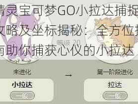 精灵宝可梦GO小拉达捕捉攻略及坐标揭秘：全方位指南助你捕获心仪的小拉达