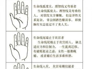 生命线攻略：探索生存之路，掌握关键步骤，开启全新篇章