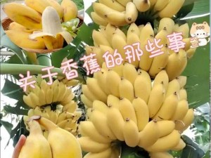 香蕉小视频【香蕉小视频：满足你对水果的所有幻想】