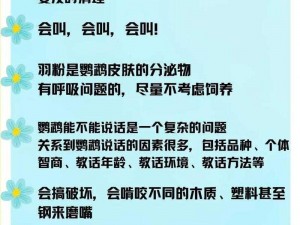 明日之后鹦鹉养殖指南：全面解析鹦鹉饲养要点与注意事项