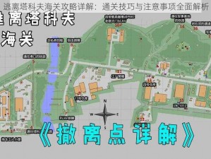 逃离塔科夫海关攻略详解：通关技巧与注意事项全面解析