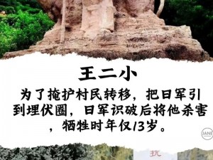 抗战英雄传：民族精神的卓越典范与时代的辉煌记忆