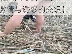 丰滿妇女野战A片【丰满妇女野战 A 片：激情与诱惑的交织】