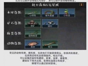 明日之后攀爬绳索运用指南：详细解析绳索使用技巧与步骤