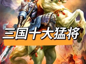 三国如龙传：神将争霸，谁是最强值得培养的传奇英雄？