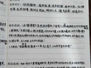 《重生之三国英雄：截图中窥见的英雄之旅》