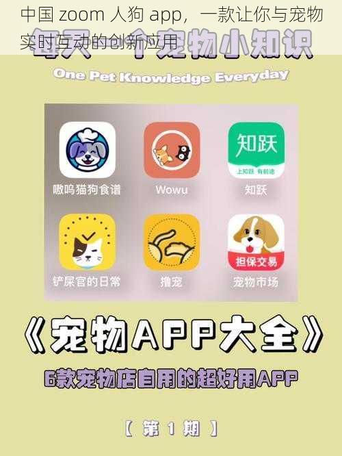 中国 zoom 人狗 app，一款让你与宠物实时互动的创新应用