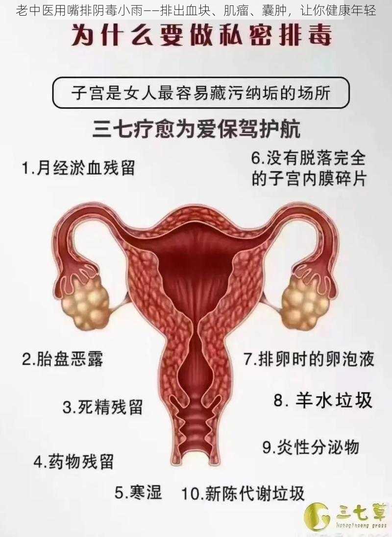 老中医用嘴排阴毒小雨——排出血块、肌瘤、囊肿，让你健康年轻